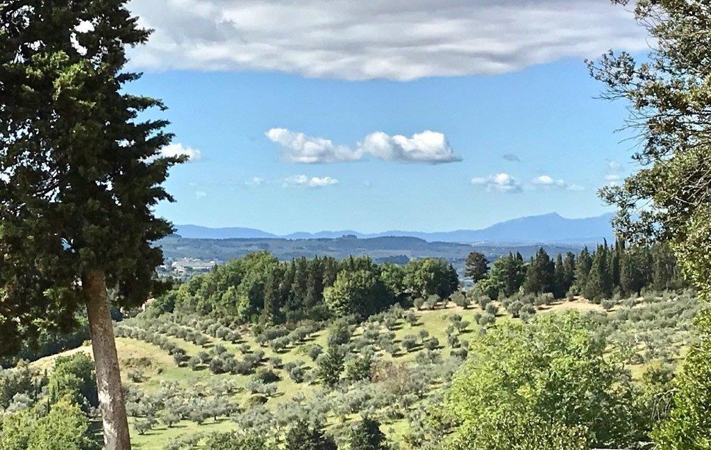 thumbnail_IMG_1056 2